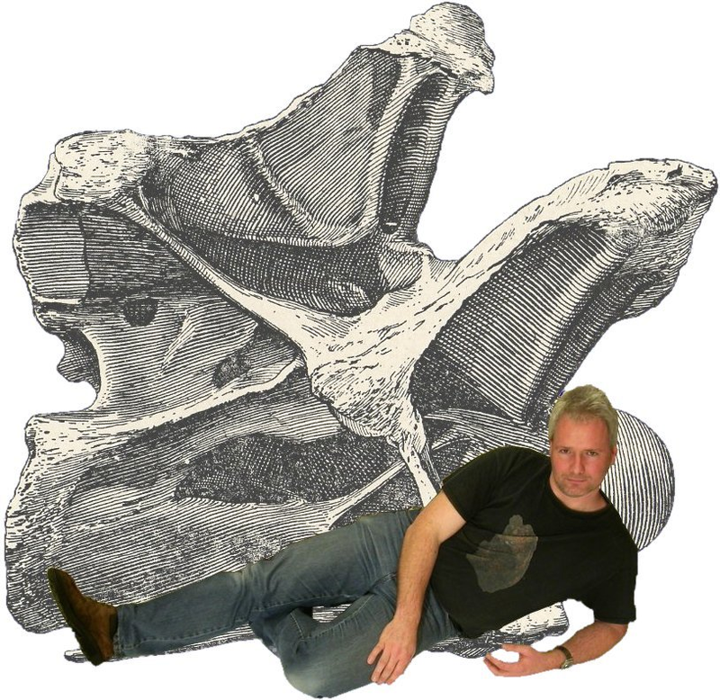 Illustration for article titled Paleontologists lying near giant dinosaur bones